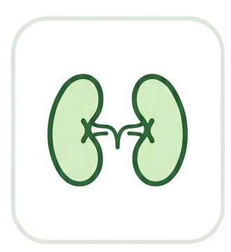 kidney-function-test-kft