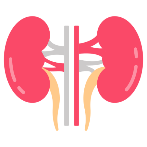 kidney-function-test-kft