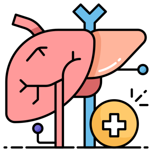 liver-function-test-lft